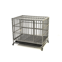 Op maat gemaakte design solide ijzeren kunstmatige husky hondenren, metalen tijdelijke ren, grote katten buitenren met dubbele deuren voor honden