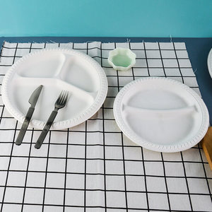 Square Disposable Plates For Wedding Reception Environmentally Friendly