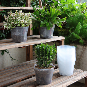 โมเดิร์นเสริมใสเนอสเซอรี่หม้อ 4/6/8/10 นิ้วต้นกล้าโปร่งใส Macetas พลาสติกแกลลอน Grow กระบองเพชรฉ่ํา - Product Image 4