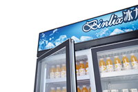Réfrigérateur Vitrine Commerciale à Température Unique, Double Plateau, Porte Vitrée, pour Bière et Légumes