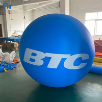 Logo personnalisé, ballon de plage géant en PVC, jeu de plein air, balles colorées peintes par pulvérisation, décoration de scène, ballons gonflables