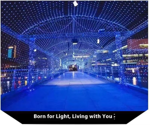 Senzhao-Filet lumineux LED pour décoration extérieure de vacances, éclairage de Noël pour arbre de ciel étoilé, éclairage de filet de pêche à LED pour pelouse - Product Image 4