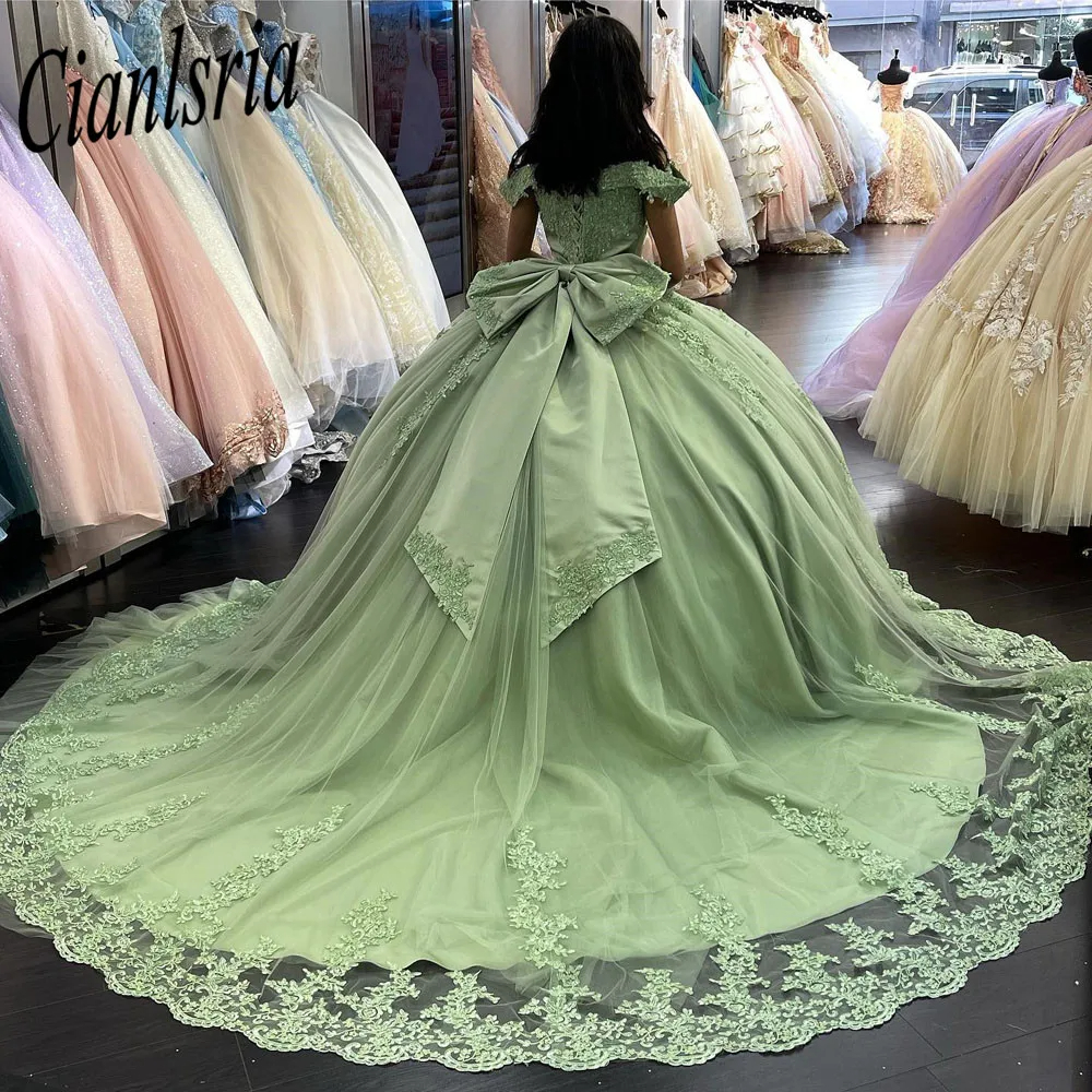 Mumuleo Mint Green Quinceanera Dresses Ball Gown Birthday Dress Lace up  Graduation Gown Vestidos De Quinceanera Off the Shoulder| Alibaba.com