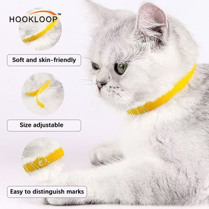Collare per Cani in Nylon con Cinturino Regolabile a Strappo, Nuovo Design alla Moda, Vendita all'Ingrosso - Product Image 4