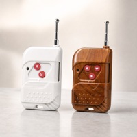 Télécommande compacte et portable 433 MHz pour systèmes de contrôle d'accès et systèmes de tir de feux d'artifice à distance