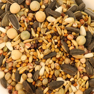 Alimentation pour pigeons de course mixte séchée en gros – Direct Usine - Product Image 3