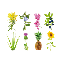 Click Grow Smart Garden Experimental 9-Pack, design moderne, pots numériques pour plantes, écologiques, luxueux, pour une utilisation au sol