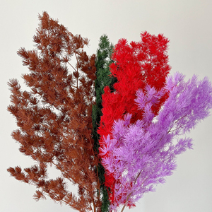 Vente en gros de fleurs conservées Asperges Fougère Ming blanche éternelle pour arrangement floral - Product Image 3