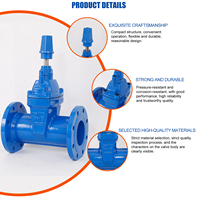Vanne à opercule universelle en fonte ductile de 8 pouces, ANSI API BS5163 F4 PN16, fabriquée par l'usine chinoise HY