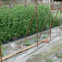 Filet de treillis d'extérieur pour abeilles de jardin Filet de corde de chanvre vert mince pour concombres, tomates et plantes en gros
