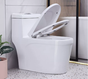 สุขภัณฑ์ชิ้นเดียวแบบ Washdown สำหรับห้องน้ำในบ้าน - Product Image 2