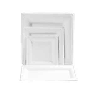 Assiette carrée en pulpe de papier biodégradable 6 8 10 pouces, vaisselle jetable pour pique-nique, artisanat, barbecue - Product Image 2