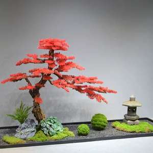 การออกแบบภูมิทัศน์ต้นสนเทียม, ต้นไซเปรสหน้าผาสีแดงขนาดใหญ่ต้อนรับแขก สำนักงาน <span class=keywords><strong>โรงแรม</strong></span> การออกแบบภูมิทัศน์หน้าต่าง - Product Image 2