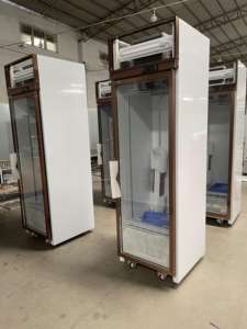 Réfrigérateur vertical à affichage de température unique pour dépanneur commercial 5 étagères refroidisseur de bière à contrôle de température numérique - Product Image 5