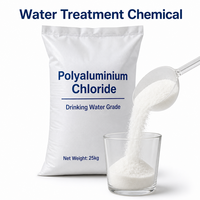 Chlorure de polyaluminium en poudre blanche PAC 30% pour la purification de l'eau des réservoirs