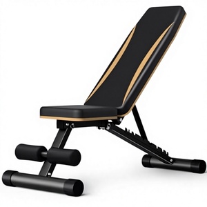 Professional SAERDE Adjustable Foldable Heavy Duty <b>Bench</b> for Dumbbell Flat Decline Incline <b>Bench</b> Press and Preacher <b>Pad</b> - Product Image 1