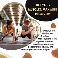 Vitadiscovery OEM Gummies de Résine de Shilajit Ashwagandha CoQ10 D3 Soutien Énergétique Mémoire Cérébrale Anti-Âge Non Destiné aux Femmes Enceintes