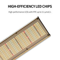 Lampe de culture LED commerciale à spectre complet IP65 640W Lm301 Pro pour hydroponie et éclairage supérieur de serre