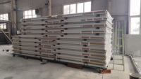 Abri moderne à faible coût de 10 pieds, imperméable, portable, pour l'extérieur, garage de stockage personnel, conteneur pliable, maison en kit