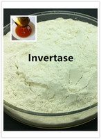 Fournisseur de poudre/liquide d'enzyme invertase de haute qualité