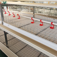 Système de cages à poulets automatiques à 3 étages et 4 niveaux de type H pour l'élevage de poulets de chair