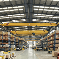 Pont roulant monopoutre léger et rapide, homologué ISO, sur mesure, 12 tonnes, pour usage industriel