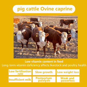 Khoa học vitamin B pha trộn cho Lợn Gia cầm gia súc thức ăn phụ gia để sửa chữa trao đổi chất & sức khỏe thiếu hụt - Product Image 3