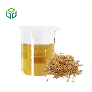 Estratto Vegetale in Polvere di Malto d'Orzo 10:1, Grado Alimentare, Certificato Biologico, Confezione in Contenitore di Plastica e Fusto - Product Image 2