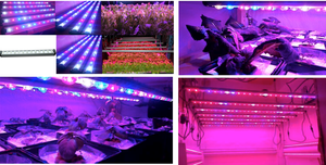 Lampes <span class=keywords><strong>LED</strong></span> d'aménagement paysager d'<span class=keywords><strong>aquarium</strong></span> étanches 60 cm 25W IP65 <span class=keywords><strong>éclairage</strong></span> d'<span class=keywords><strong>algues</strong></span> et de corail - Product Image 4