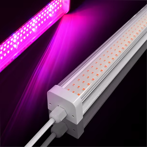 Lámpara LED de espectro completo T12 de 150 grados para cultivo de flores y suculentas en invernaderos de kiwi y <span class=keywords><strong>uva</strong></span>, con garantía de 3 años e IP54. - Product Image 2