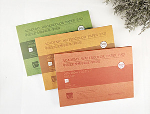 Blocco di carta acquerello 100% cotone acido gratuito Academy grado di carta acquerello per la colorazione dell'artista - Product Image 6