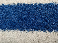 Tapis de piste de sprint imprimé avec logo personnalisé de qualité NWT tendance 2026 pour les zones de sport et de remise en forme