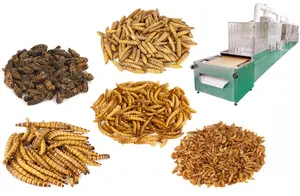 Tunnel Dried Yellow Mealworm High Efficiency Industrial Black Solider Larvae Drying Machine PLC Dryer