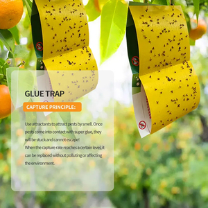 Không độc hại không thấm nước chống nắng Bug Catcher Vàng Sticker trái cây Fly Trap trang trại ngoài trời Vườn bán buôn Trung Quốc Nhà cung cấp - Product Image 3