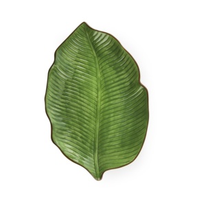 Set di 6 Piatti da Portata in Ceramica Excelsa Foliage 26,5x2,5x17,5 Cm Verdi - Product Image 1