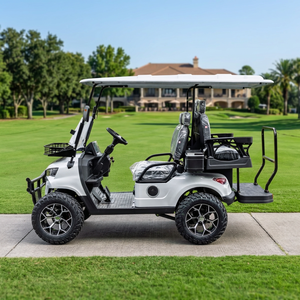 Carrito de Golf Eléctrico de 60V 4KW para 4 Pasajeros, Batería de 6KWH, Buggy para Todo Clima, para Áreas Industriales y Campus, Servicio Personalizado OEM ODM - Product Image 1