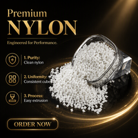 Granulés de nylon PA66 33% GF renforcés, polyamide vierge et recyclé 6/66 pour moulage par injection, radiateur, réservoir d'eau