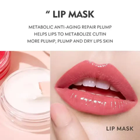 3 en 1 Sugar Lip Scrub Balm Mask Kits d'huile pour les lèvres Vegan Hydratant Plumper Fruit Aromouring Oil Private Label Lip Care Set