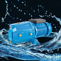 Pompe à jet auto-amorçante en fonte 1HP 750W JET-100L 220V 50Hz, surpresseur de conduite pour l'irrigation agricole
