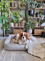 Lit pour chien de luxe ultra doux, traversin rectangulaire haut de gamme en beige confortable et lavable avec motif solide
