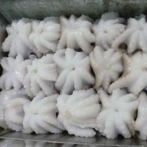 Pulpo de bebé entero IQF, mariscos congelados, carne de pulpo, cefalópodo limpio para exportación, procesamiento de alimentos, platos japoneses Coreanos - Product Image 4