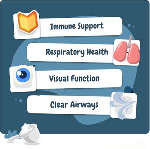 Supplément de <span class=keywords><strong>poudre</strong></span> de L-<span class=keywords><strong>lysine</strong></span> naturelle <span class=keywords><strong>pour</strong></span> chiens chats soutien immunitaire santé respiratoire nez qui coule fonction oculaire - Product Image 2