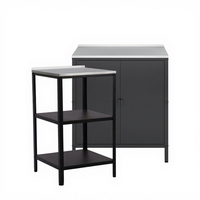 Armoire extérieure multi-usages Eaho en acier avec 3 étagères, revêtement poudré, étanche, pour jardins, balcons, garages, cuisines