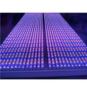 Led לגדול אור מקורה צמח צמיחה T8 multispectral 18w 20W 4ft 5ft 6ft 120 תואר ttube8 led אור צינור