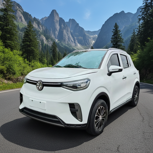 <span class=keywords><strong>Voiture</strong></span> électrique intelligente 5 places 2026 avec batterie au lithium pour adultes, logo personnalisé, 4000W, pour personnes âgées - Product Image 3