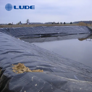 Đường Thương Hiệu 1.5Mm Đen HDPE Màng Chống Thấm Màng Đất Ngoài Trời Bãi Rác Hồ Chứa Nhân Tạo Sinh Nuôi Nước Lưu Trữ Tank - Product Image 5