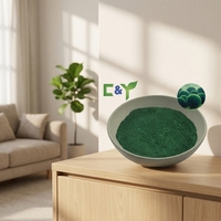 Extrait de Chlorella en Poudre de Qualité Alimentaire, Chlorella Vulgaris, Extrait Végétal, Poudre Verte, Emballage en Fût, Fournisseur OEM
