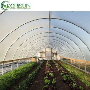 8X12 الصين البيوت الخضراء البلاستيكو الفقرة إنفرناديروس-الصناعية تونيل مستعمل الدفيئة الزراعية نفق للبيع - Product Image 3