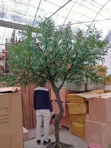 Good Quality Artificial <strong>Olive</strong> <strong>Tree</strong> - Product Image 4