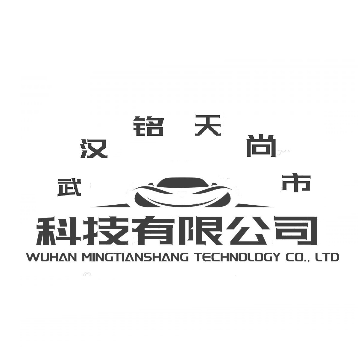 company logo